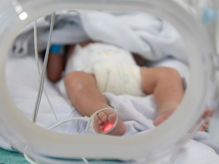 Parent gently touching a premature baby inside a neonatal incubator